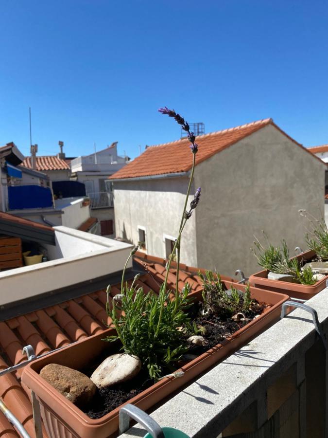 Lucy Apartment Piran-Punta Luaran gambar